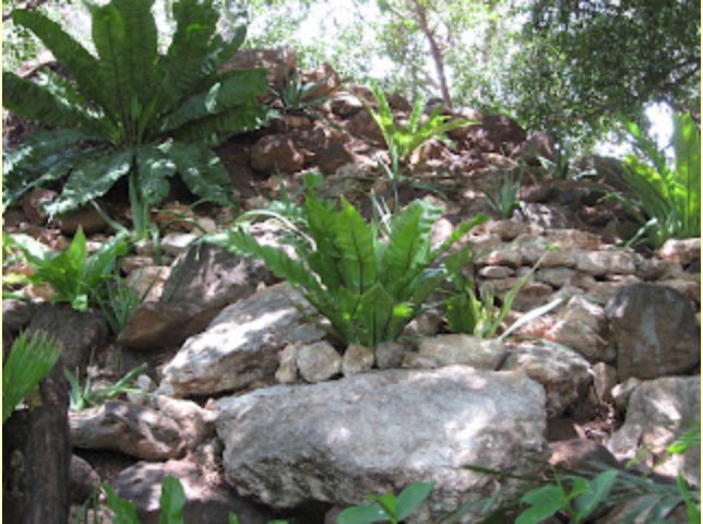 Volunteer gardeners at work